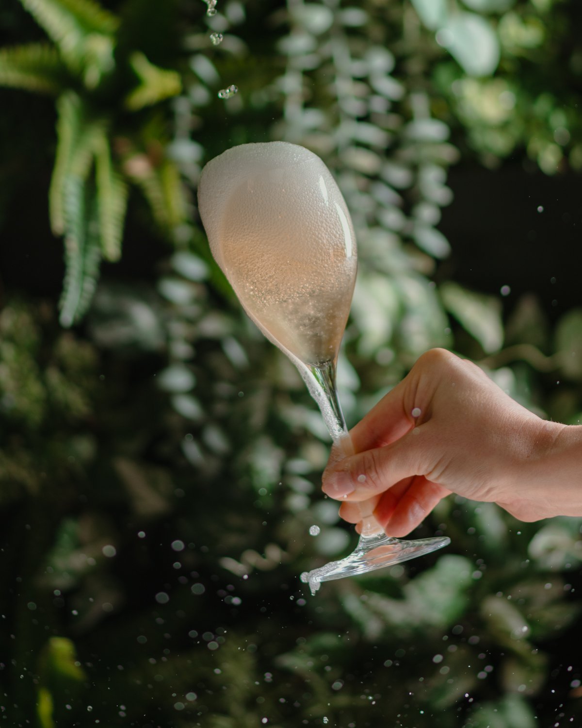 NOUR dining atmosphere